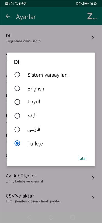 Dil seçme ekranı