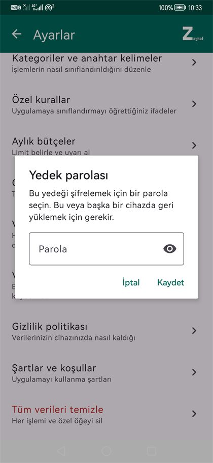 Yedek parolası penceresi